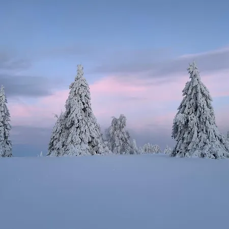 Brandenburger Schmallenberg