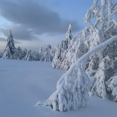 Brandenburger Apartment Schmallenberg