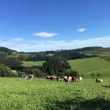 Brandenburger * Schmallenberg