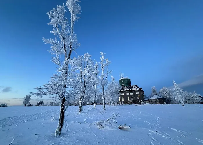 Apartment Brandenburger *