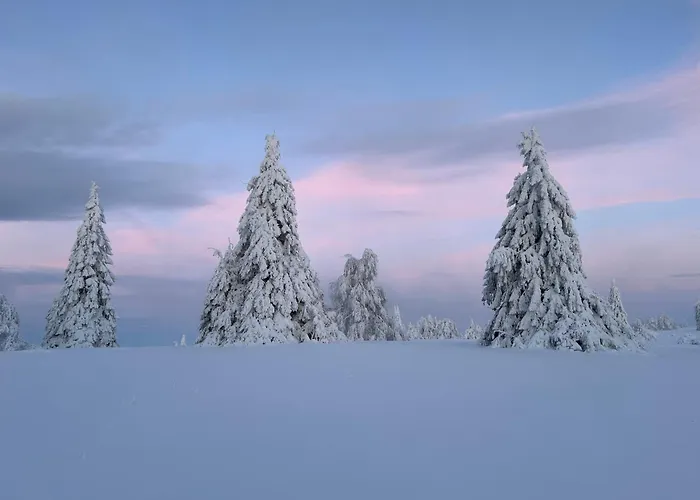 Brandenburger Schmallenberg