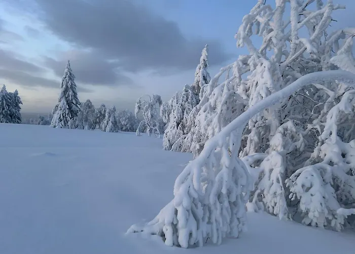 Brandenburger Apartment Schmallenberg