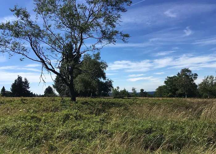 Brandenburger Apartment *