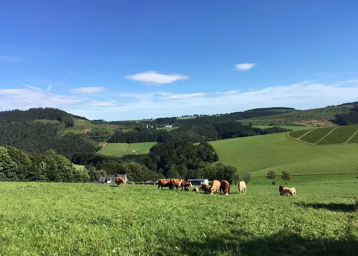 Brandenburger * Schmallenberg