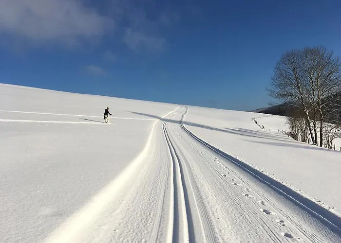 Brandenburger Apartment Schmallenberg